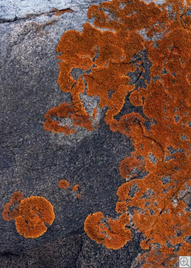 Kirgistan, Isyk Kul, stones, abstrakt