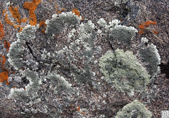Natur, Steine, Kirgistan, abstrakt