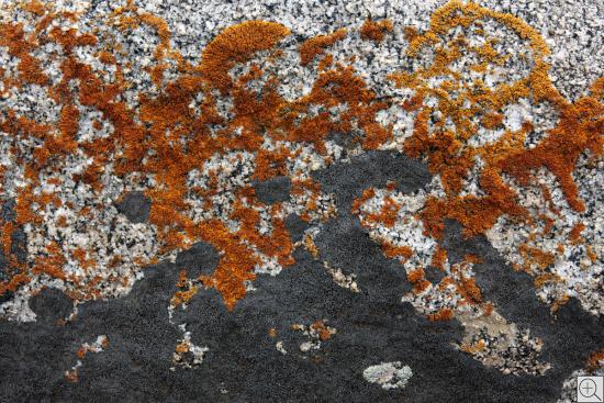 Natur, Steine, Kirgistan, Isyk Kul, abstrakt