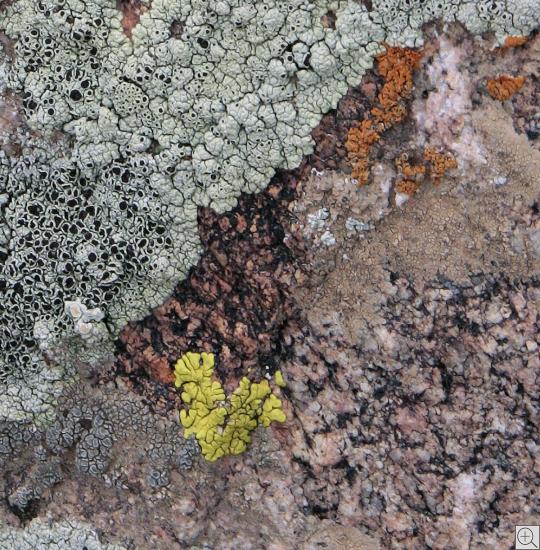 Natur, Steine, Kirgistan, Isyk Kul, abstrakt