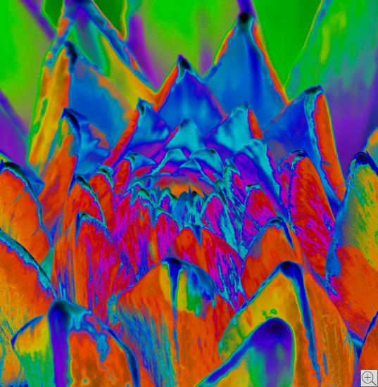 cardius as an abstrasct colourful painting, 