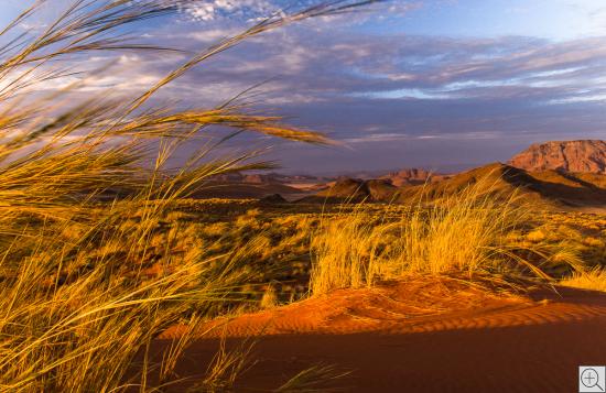 Blick auf die Nubib-Berge im Abendrot und Grashalme im Wind 