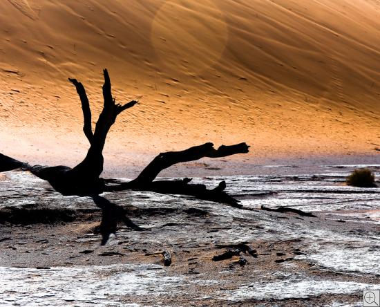 surreales Baum-Skelett in der Dead Vlei Pfanne
