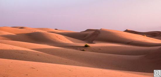 Wahiba Sands, Oman, Dünen im Morgenlicht