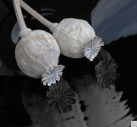2 grey poppy capsules on a mirroring black surface