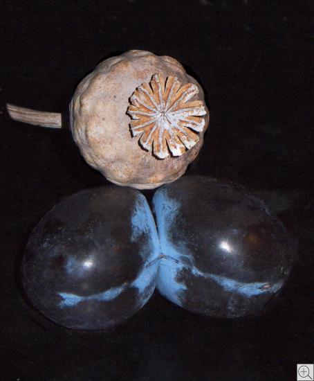 Stillleben von Mohnkapsel und Pflaumen