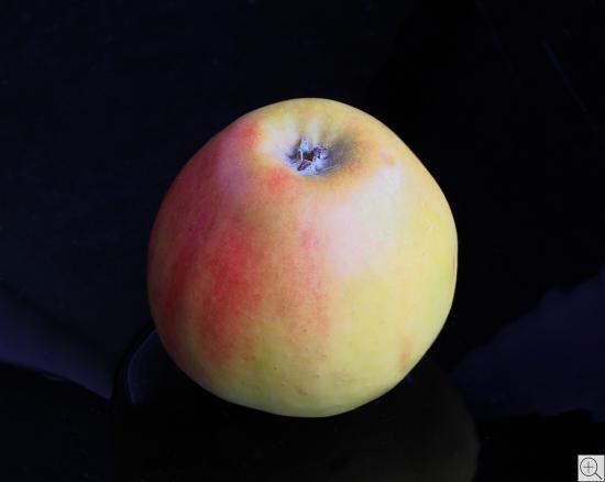 Stilleben - Apfel vor dunklem Gruind