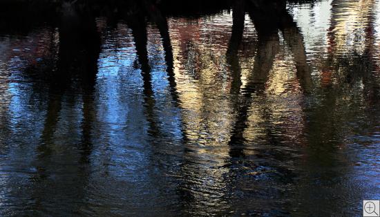 Wasserspiegelung von Bäumen im Fluss