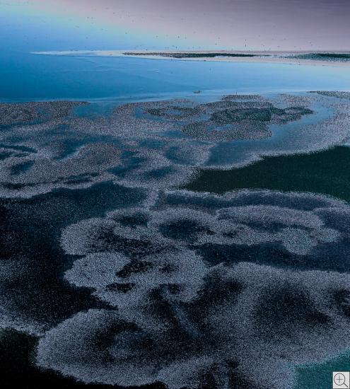 Eisblumen auf blauem See