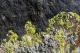 nature, Kyrgystan, Isyk Kul, stones, abstract