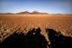 Namib-Wüste im Abendlicht mit Schatten des Safari-Jeeps