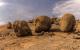Granitbrocken auf Granitberg, Erongo-Berge