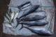 Stillleben von Makrelen u.a. Fischen auf Sackleinen